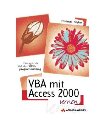 VBA mit Access 2000 lernen: Einstieg in die Welt der Makroprogrammierung: Einsti