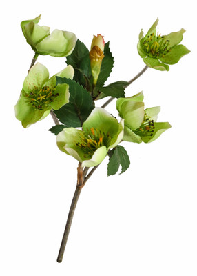 Christrose-Busch 30 cm Hellgrün   künstliche Lenzrosen   Winterblume
