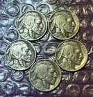 BUFFALO INDIAN Head Nickel FULL DATES  All Different  3 Mints  3 Years  Lot of 5