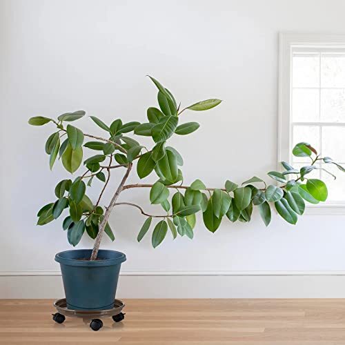 13" Plant Caddy Movable Plant Stand Pot Saucer Plant Pallet Tray Trolley with... - Picture 6 of 7