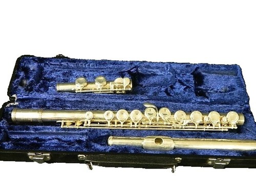 fluteハードケース Amazon | heizi フルート ケース 楽器 フルートハードケース 収納 黒