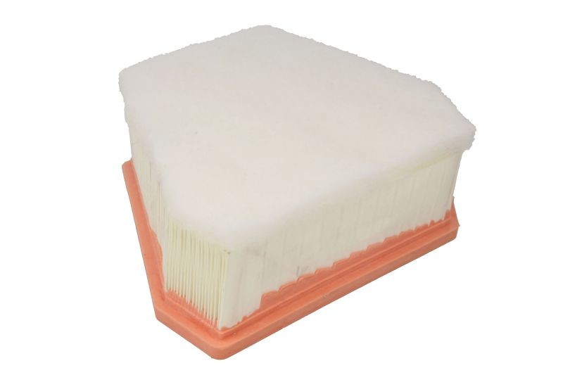 Fits SOFIMA S3A19A Air filter S3A19A Air filter (Cartridge) fits: FIA ⭐UK Stock⭐