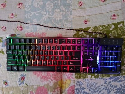 Sky Tech Skytech Illuminated Light Up Mechanical Gaming Keyboard K 1000 Tested.