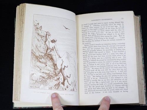 1891 Hindu-Koh: Wanderings and Wild Sport on and beyond the Himalayas Macintyre - Picture 7 of 13