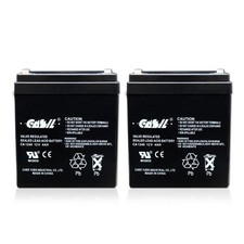 Casil CA1240 12V 4AH Home Alarm Security SLA Battery, 2 Pack