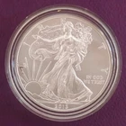 2013 American Silver Eagle 1 oz $1 Coins - .999 Fine Silver - BU in capsule