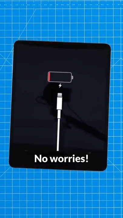 Original OEM iPad Pro 11