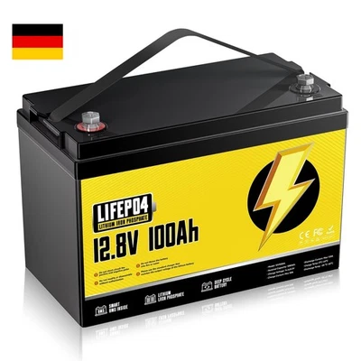 MARKENLOS 12V 100Ah LiFePO4 Akku Lithium Batterie BMS Solaranlage Wohnmobil Solarbatterie