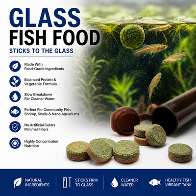 MT Aquatics Complete Feed All Ornamental Fish Adhesive Tablets Stick to Glass