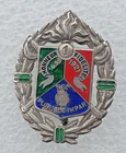 1st REC Foreign Cavalry Regiment, Silver Dragon Olive Metro, Small Missing