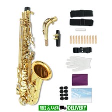 Beginner Kit Eb Alto Saxophone Brass Body 10 Reeds 8 Cushioned Pads