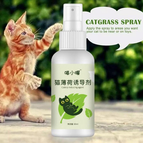 Catnip Spray for Cats Portable Fun for Indoor Cat & Kittens Interactive - Picture 2 of 8