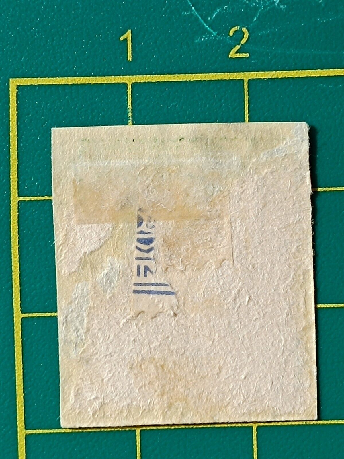 Picture 5 of 6