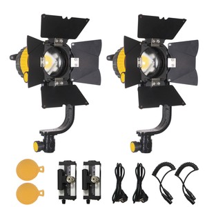 portable continuous light