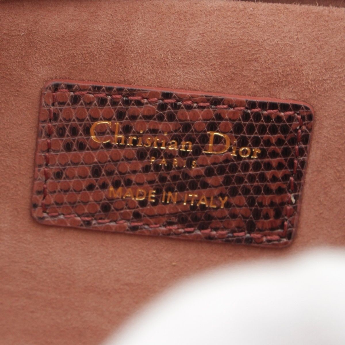 Christian Dior Lady Dee-Joy D-JOY Medium Lizard with Logo Charm East-West 3WAY image 7