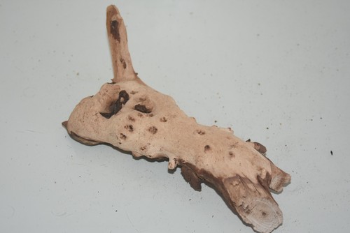 Aquarium Real Natural Mopani Bog Wood 2 Medium Pieces MMW1I For Aquarium Use - Picture 2 of 3