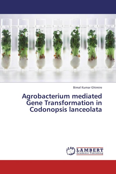 Bimal Kumar Ghimire | Agrobacterium Mediated Gene Transformation In...-image