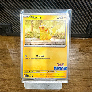 2024 Illustration Contest Pokemon | eBay