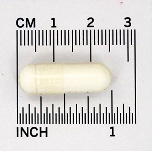 Slide 7