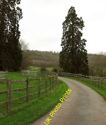 Photo 6x4 Drive to Titsey Place Apologies for a very gloomy image of part c2015