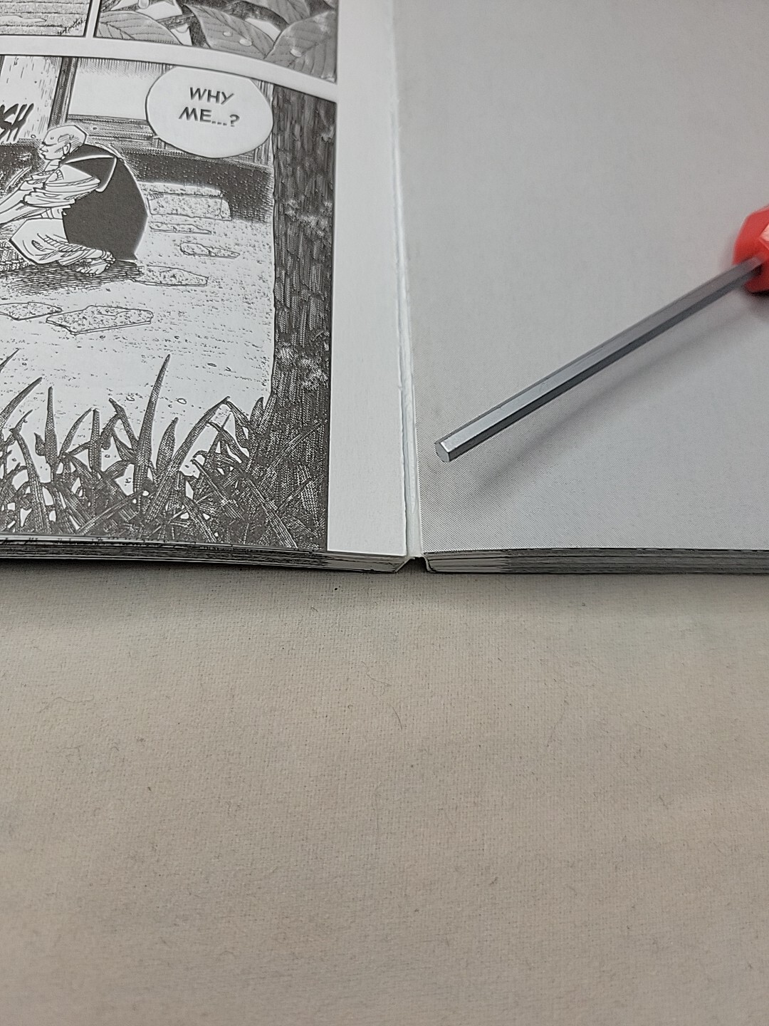 Picture 6 of 7