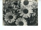 Bild 3 von 3