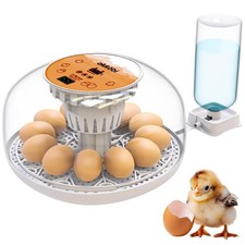 M12 Couveuse Oeuf Automatique - Contrôle Humidité, Réglage Température, Couveuse