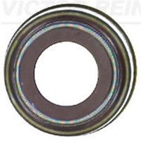 Dichtring Ventilschaft Victor Reinz 70-38487-00 FüR Lion MAN TGA TGS Hocl NL NG