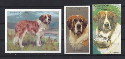 1903 - 1940 UK Reissue Reproduction Dog Art Cigarette Card Set 3 SAINT BERNARD