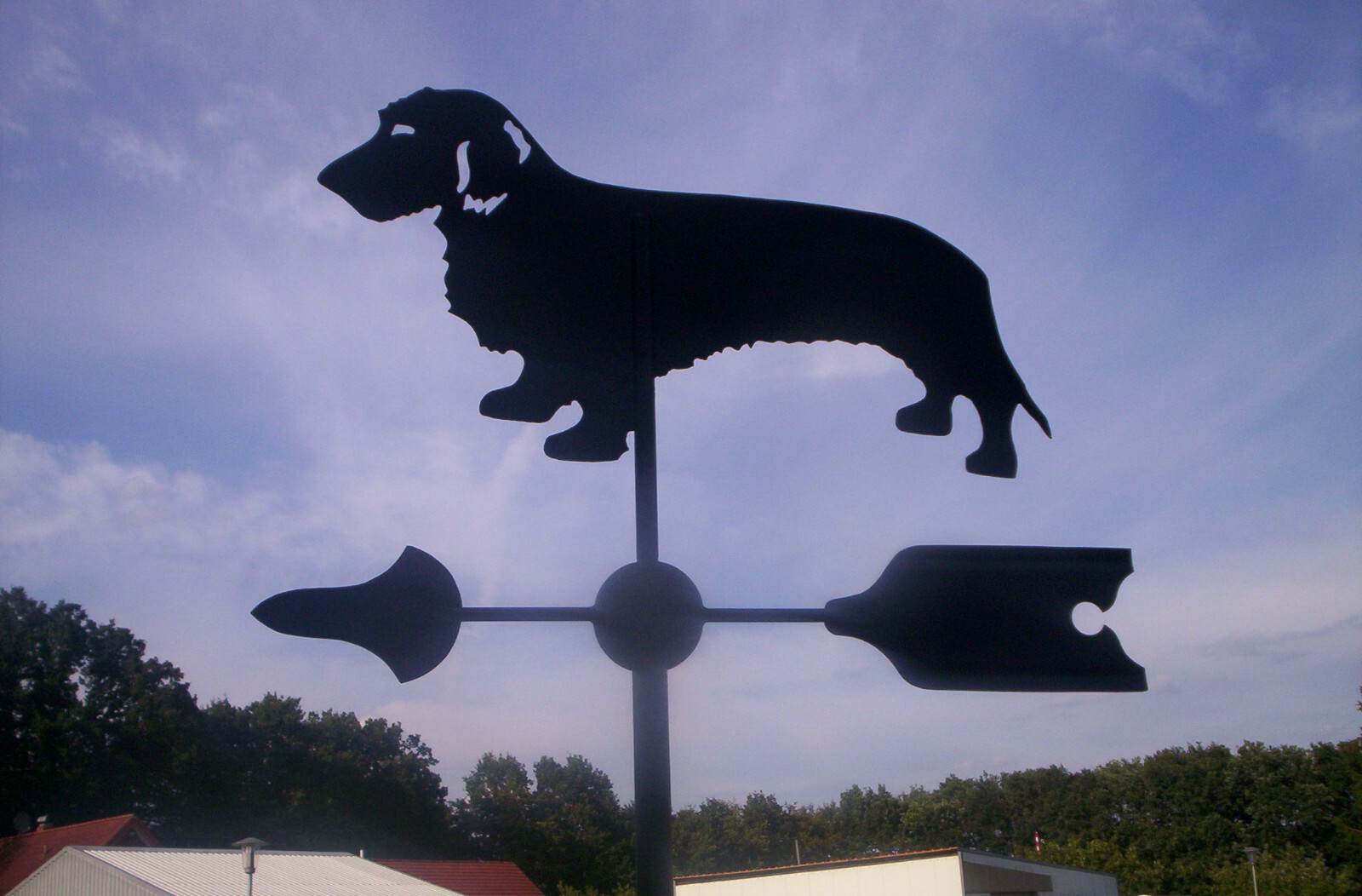 Wetterfahne Edelstahl Mit Dackel Motiv - 50x35cm Windrichtungsanzeiger