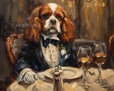 8x10 Matte Print - Cavalier King Charles Spaniel in Tuxedo at Formal Event 8.43.