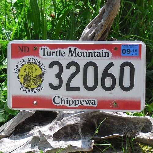 Authentic Number Plate Dakota North (32060) USA License Plate - 第 1/1 張圖片