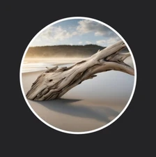 Driftwood On A Beach Sticker 3”x3"