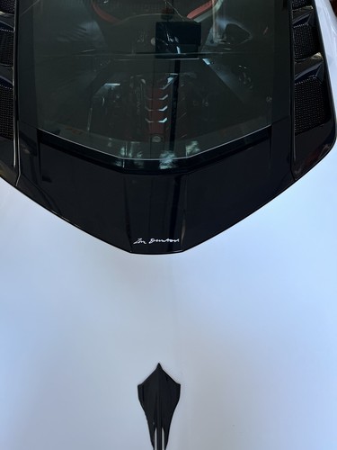 **NEW C8 CORVETTE ZORA SIGNATURE REAR DECK DECAL! - 第 1/2 張圖片