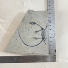 Picture 4 of 4