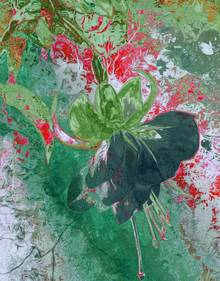 Floral Fine Art Print 11x14 Archival Botanical Wall Art Abstract Flower Décor