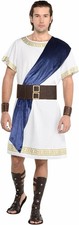 Deluxe Toga Gods Goddesses Suit Yourself Fancy Dress Halloween Adult Costume