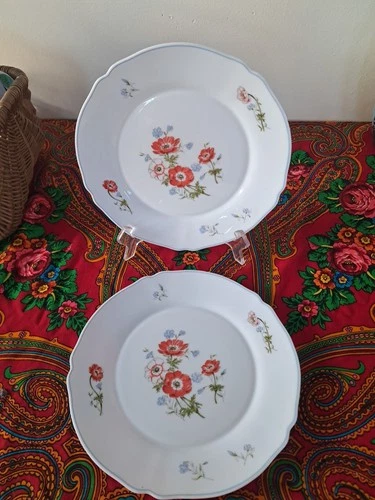2 Vintage Arcopal France Floral Scalloped Dinner Plate 10"