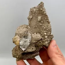 275 g A Grade Herkimer Diamond on Druzy Dolostone, High Grade Pocket Matrix!