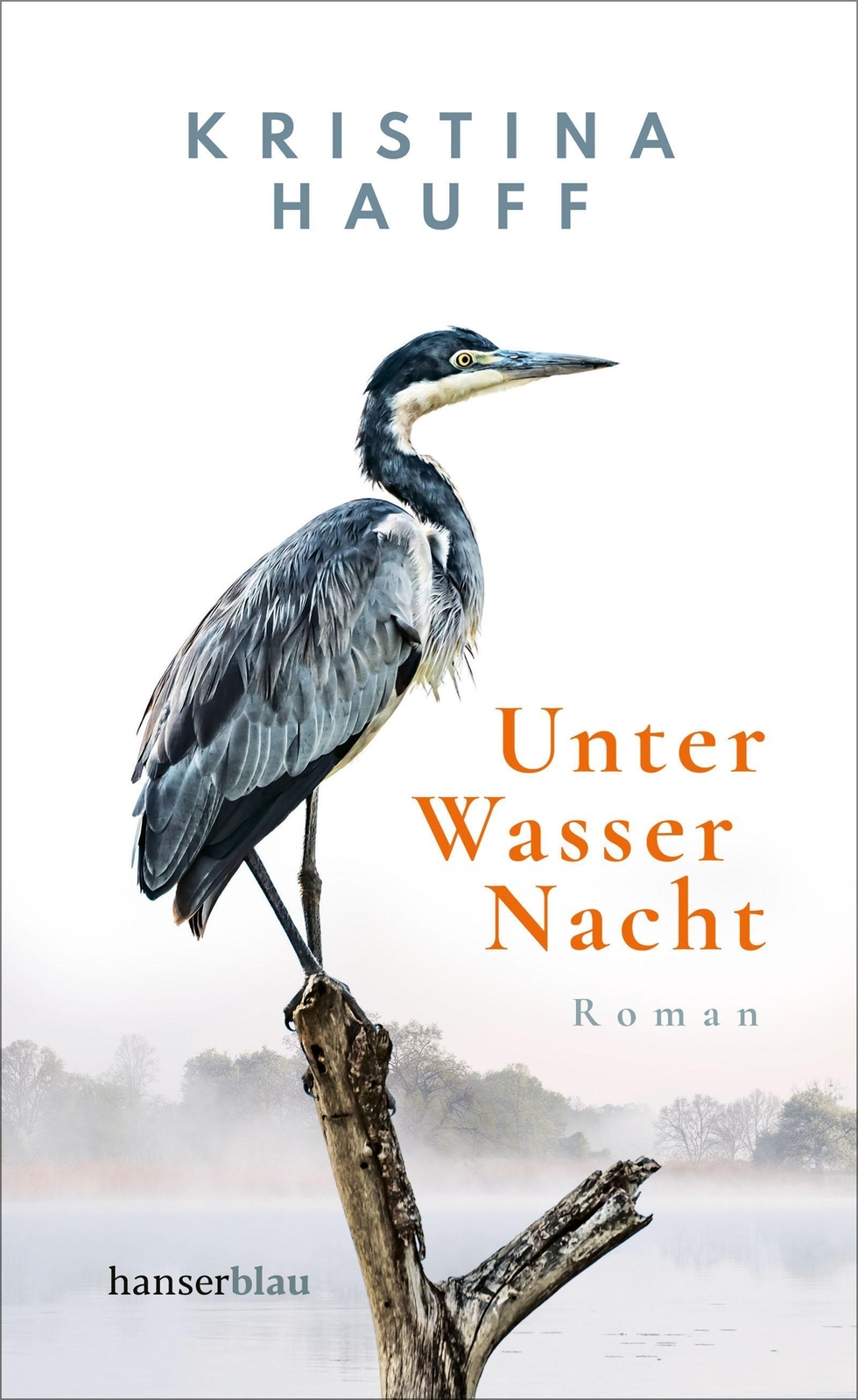 Unter Wasser Nacht Kristina Hauff