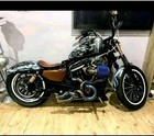 Harley Sportster XL 883/1200 1996 2016 Custom 2 into 2 Blue Exhaust System🔥