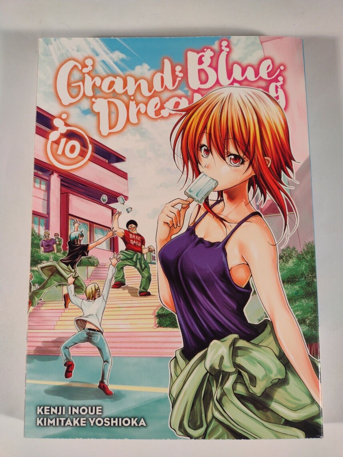 Grand Blue Dreaming 10 by Kimitake Yoshioka; created by Kenji Inoue -  Penguin Books Australia