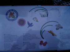 New Baby Crib Nursery Bird Flower Butterflies Mobile Spring by Djeco France