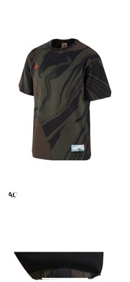 acg mt fuji shorts