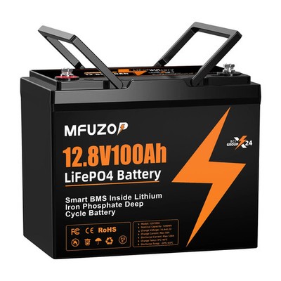 12V 100Ah Lithium Batterie LiFePO4 Akku BMS 15000 Zyklen Solarbatterie Wohnmobil