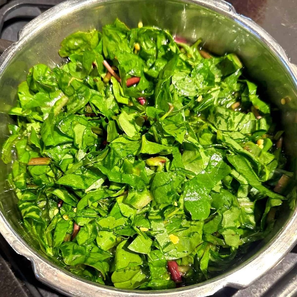 Malabar Spinach Green 15 -500 Seeds Vine Alugbati Mồng Tơi Nutritional ...