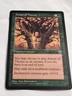 MAGIC - Armor of Thorns Mirage MTG Regular