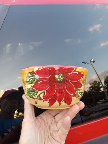 Nuevo Juego de 17 piezas MAXCERA MIEL FLOR DE PASCUA 11" 8,5" PLATOS CUENCOS PLATO AZÚCAR - Imagen 5 de 10