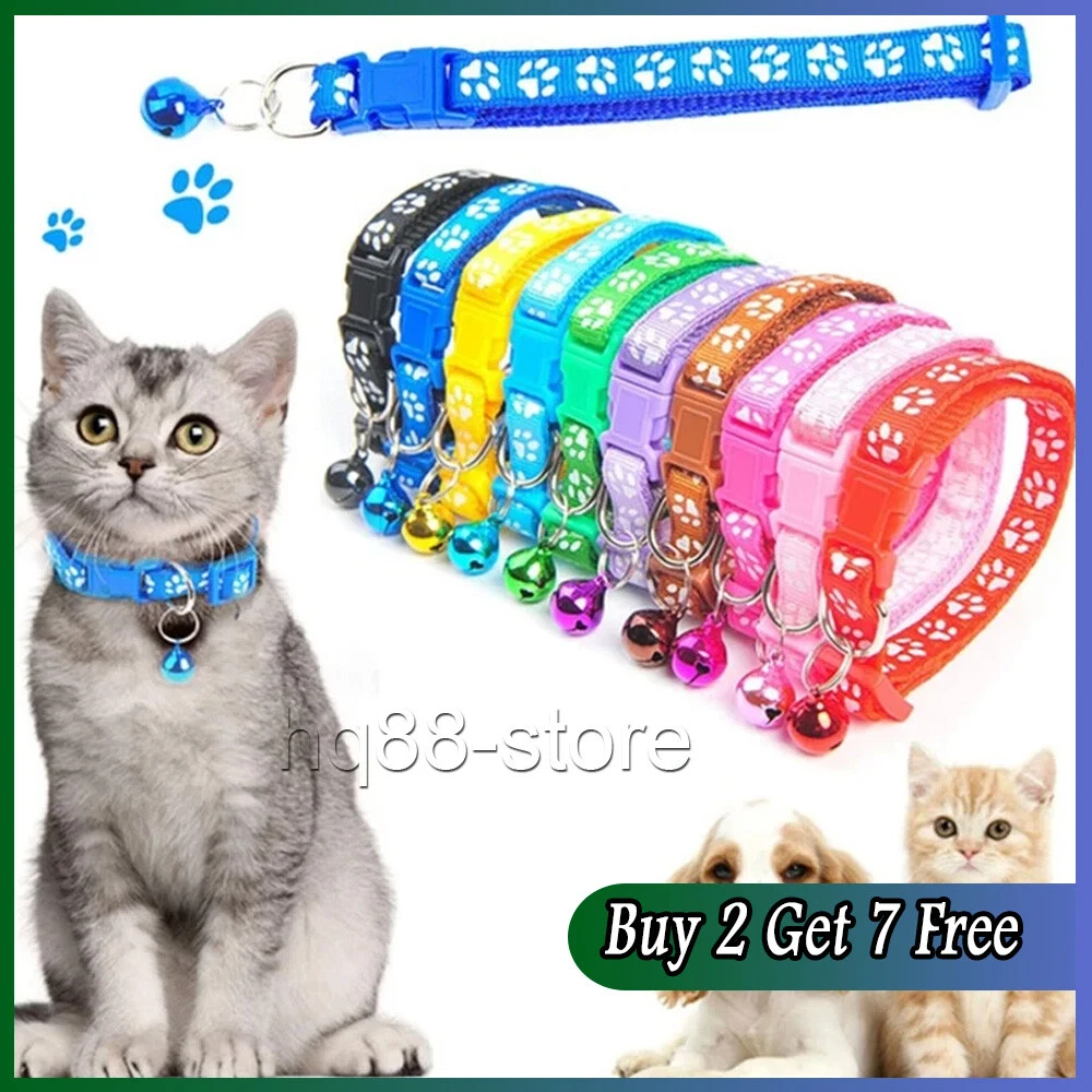 Cheap kitten collars top
