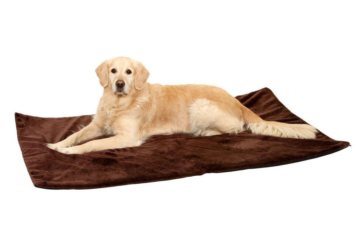 natur kratzbaum Stabiler Kratzbaum Naturholz, Kratzartikel Katze mit Seil  mein-Tiershop.de